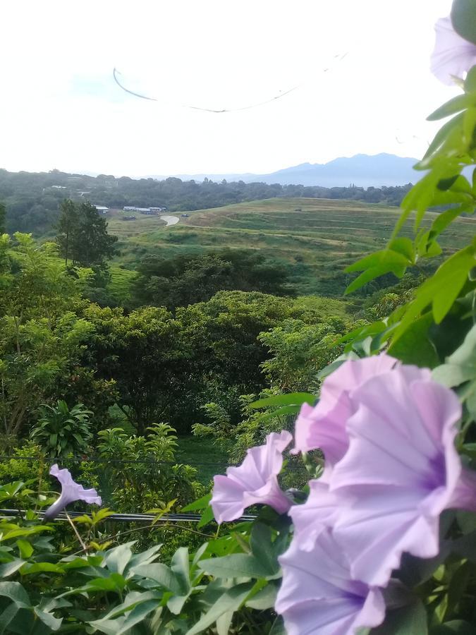 Rancha Azul Inn Alajuela Exteriér fotografie